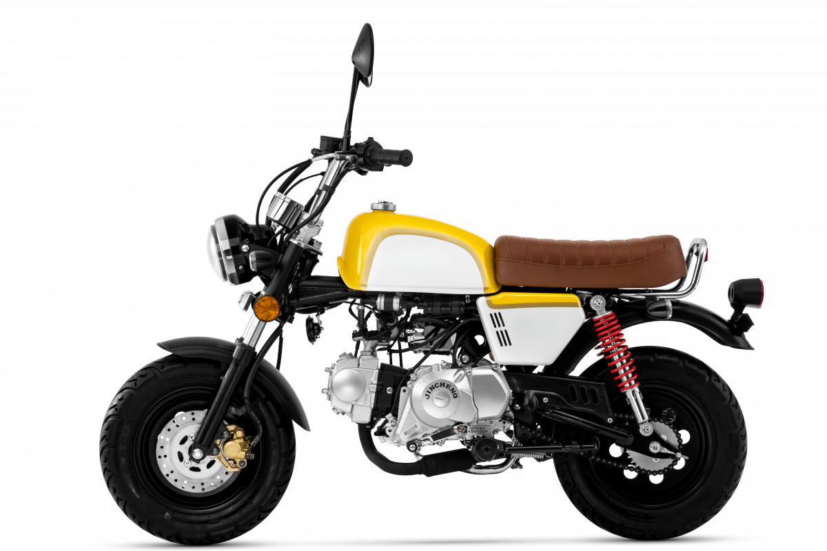 微信图片_20240116132709 - bearbeitet